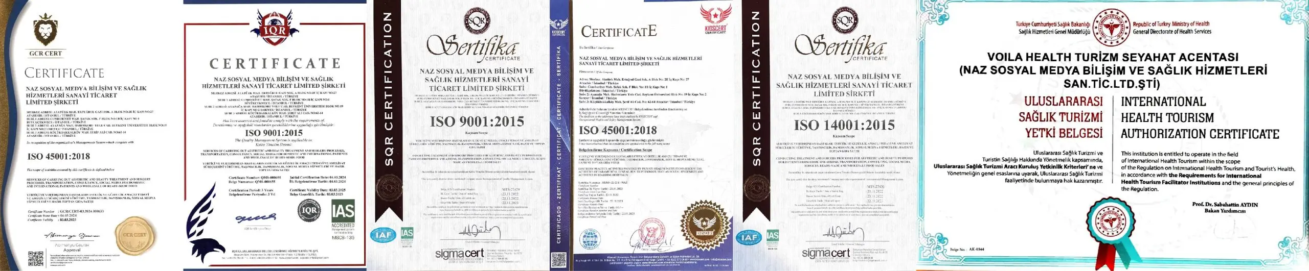 Voila Certificate